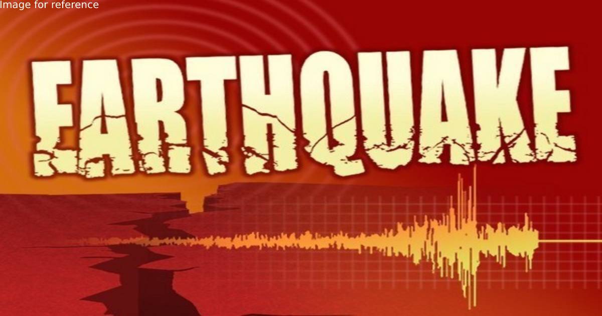 Earthquake of magnitude 4.8 hits Andaman and Nicobar's Port Blair